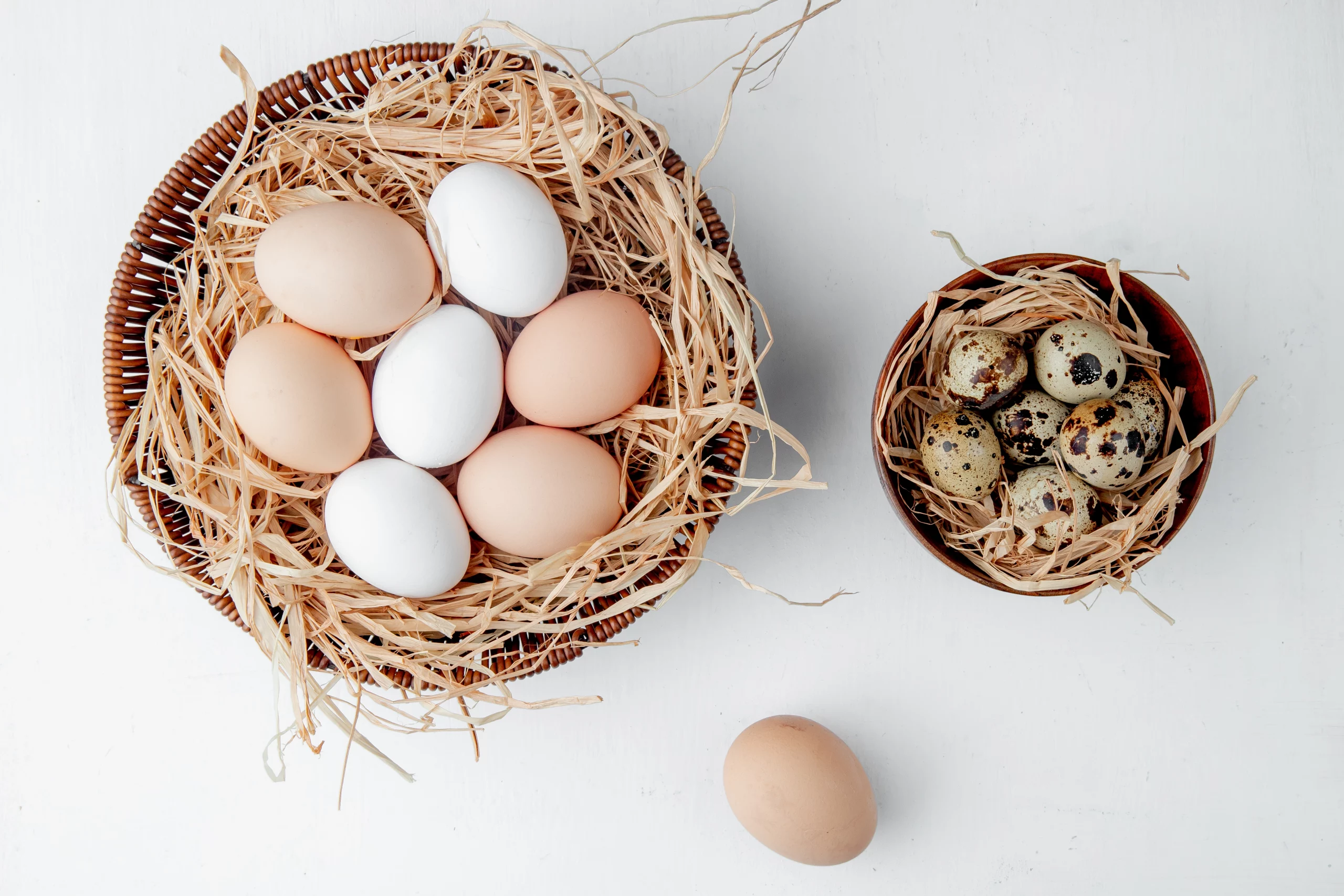 Oeufs